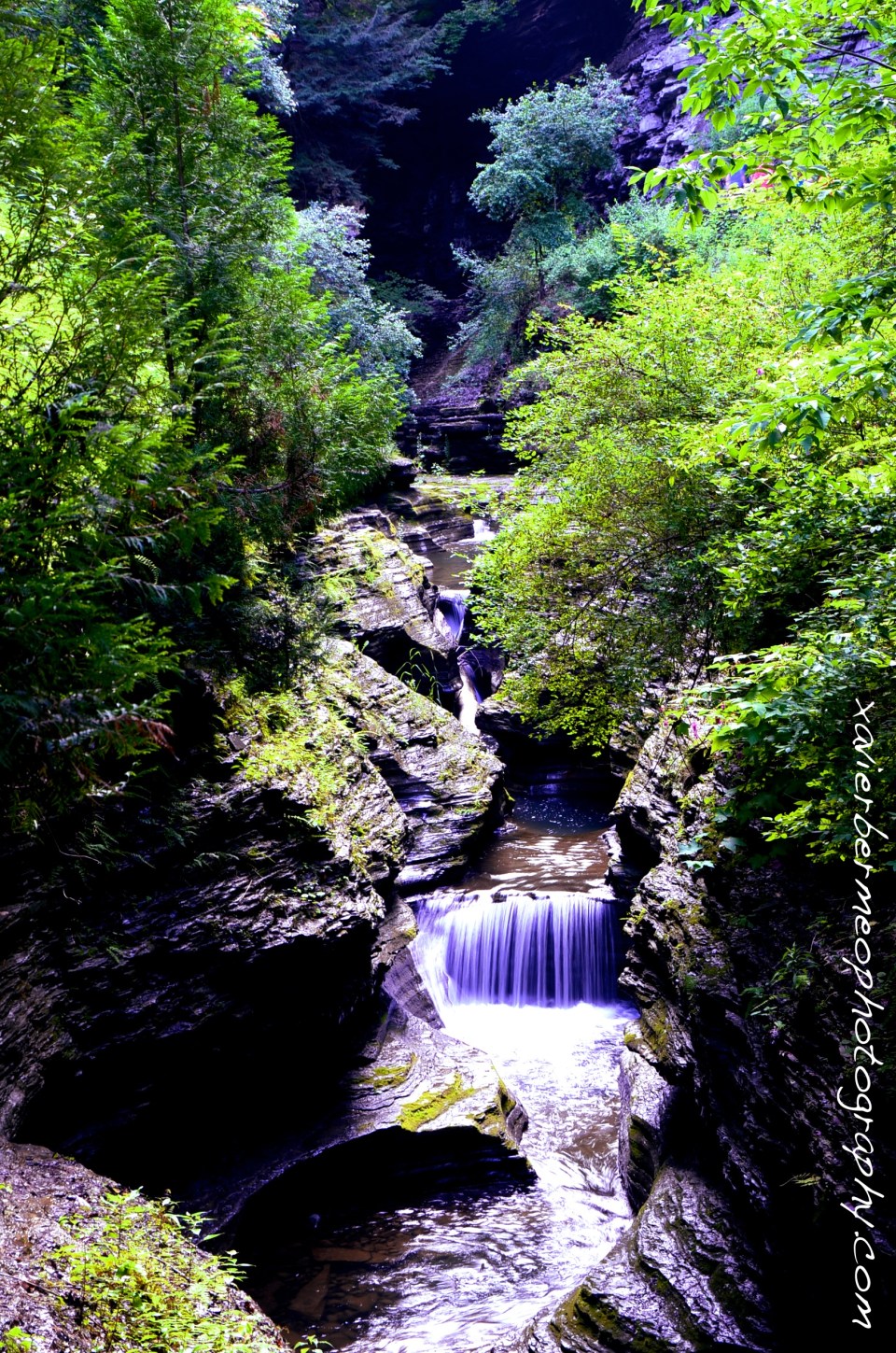 Watkins Glen