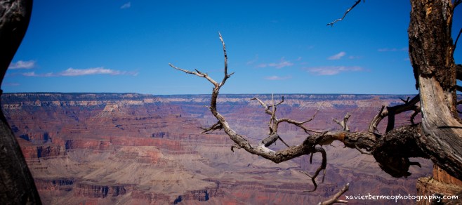 Grand Canyon1